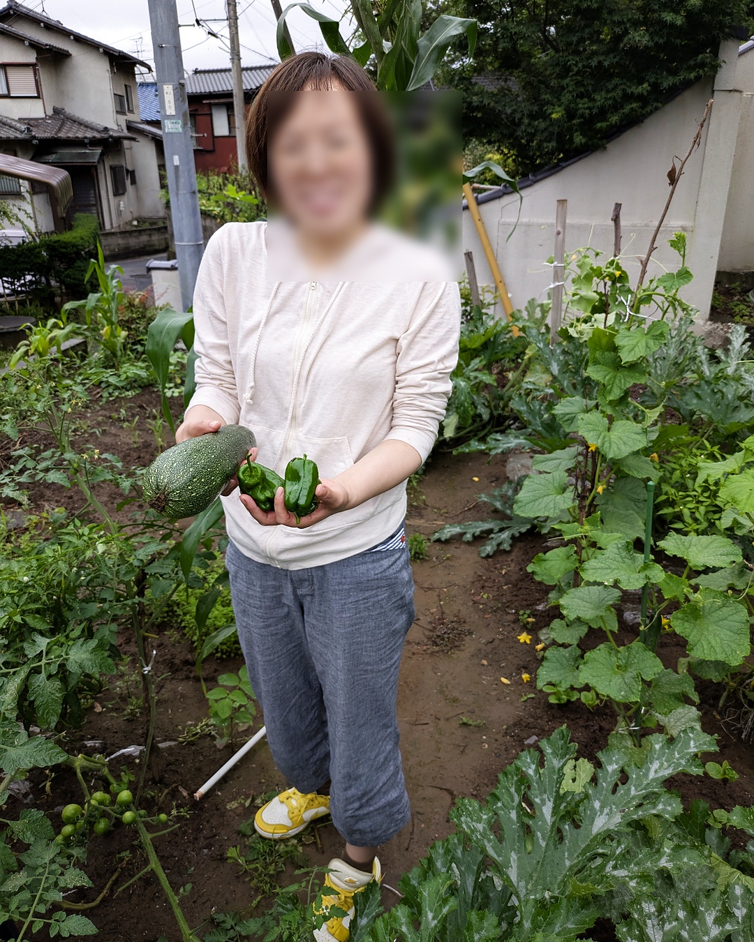 Small summer harvest from a family garden in Japan