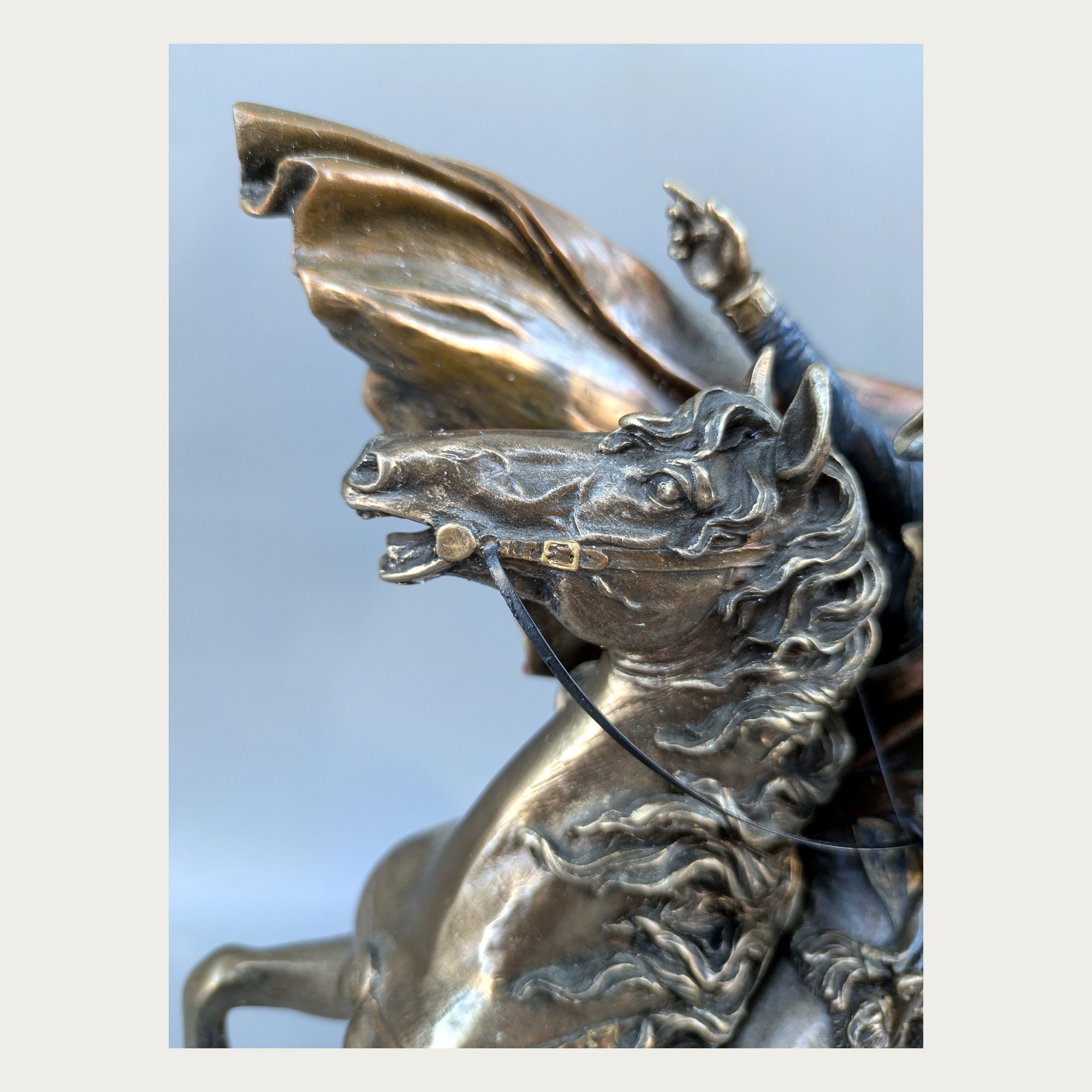 Horse head and bridle detail on the Napoleon statue